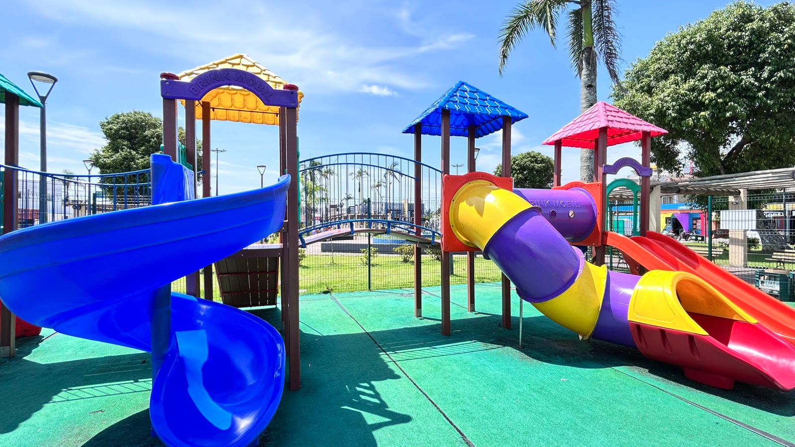 WhatsApp Image 2026-02-20 at 12_24_21 (2)