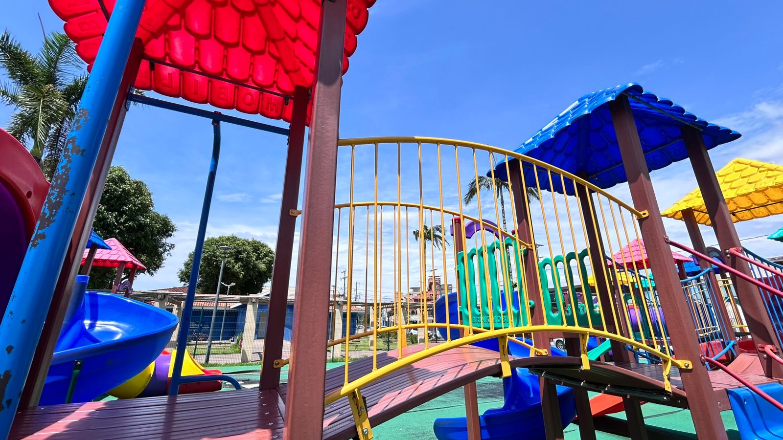 WhatsApp Image 2026-02-20 at 12_24_21 (1)